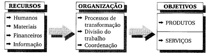 organizado, formado de partes ou elementos que interagem, para realizar um objetivo explícito. Todas as organizações são sistemas (embora nem todos os sistemas sejam organizações). 31.