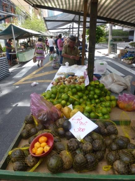 Potencial do Agroextrativismo Ampliar a conservação através dos agroextrativistas Criação de áreas de desenvolvimento sustentável Mecanismos econômicos que reconheçam a contribuição ambiental Manter