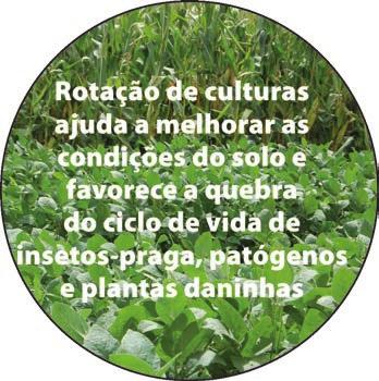 A observação dos campeões revela, entre outros fatores, que são produtores que investem em práticas que visam à sustentabilidade da atividade, como a rotação de culturas, afirma Ribas.