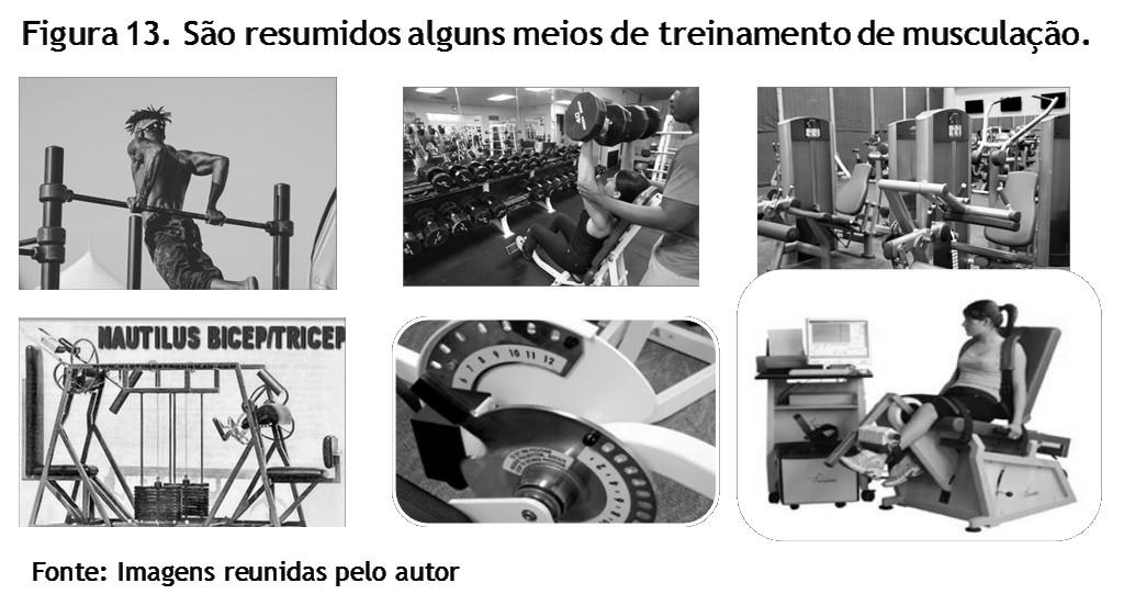 TREINAMENTO CORPORAL HUMANO: fundamentos para o treinamento dos exercícios corporais e para os esportes Anselmo José Perez, 2017.