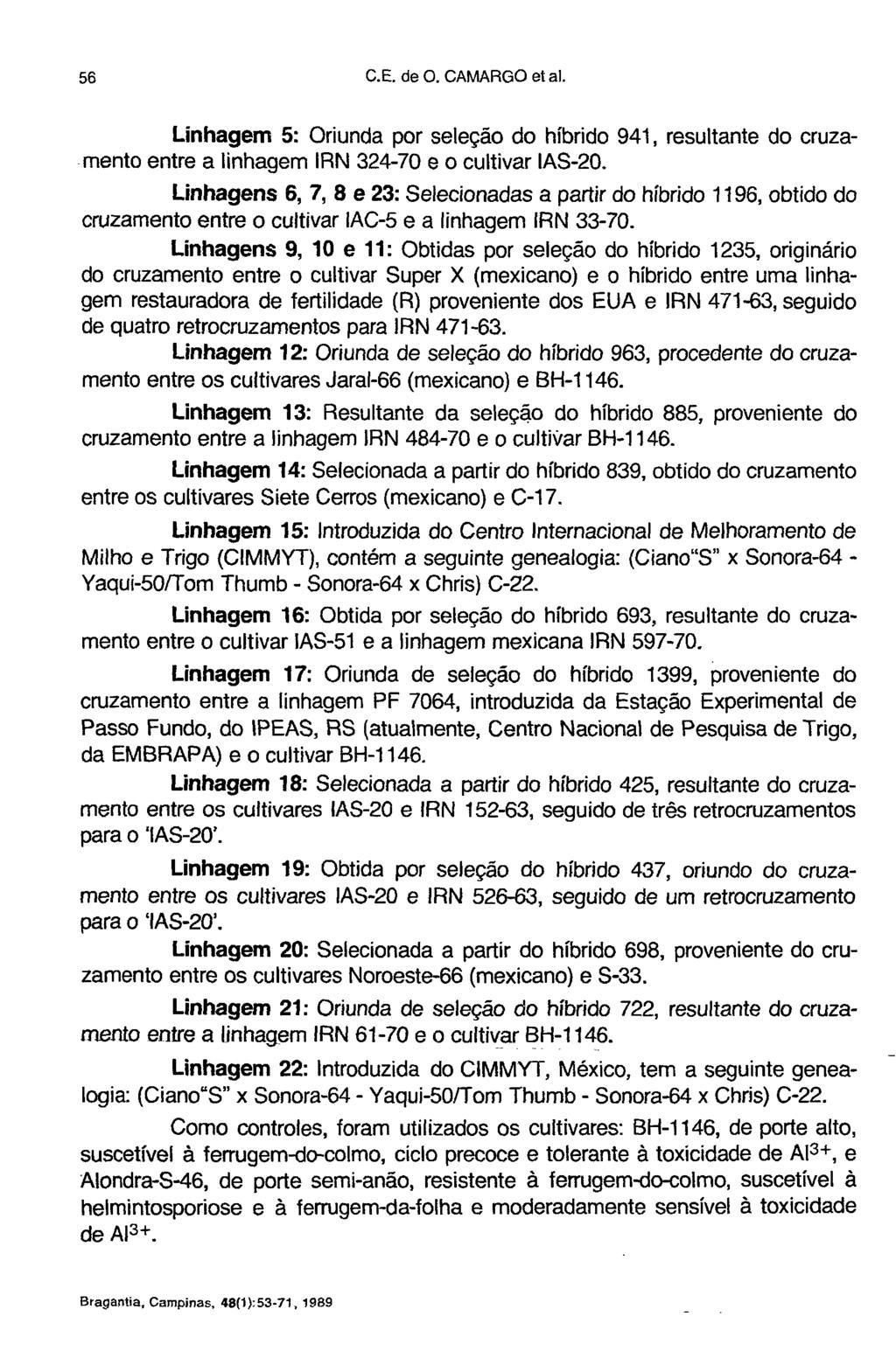 Linhagem 5: Oriunda por seleção do híbrido 941, resultante do cruzamento entre a linhagem IRN 324-70 e o cultivar IAS-20.