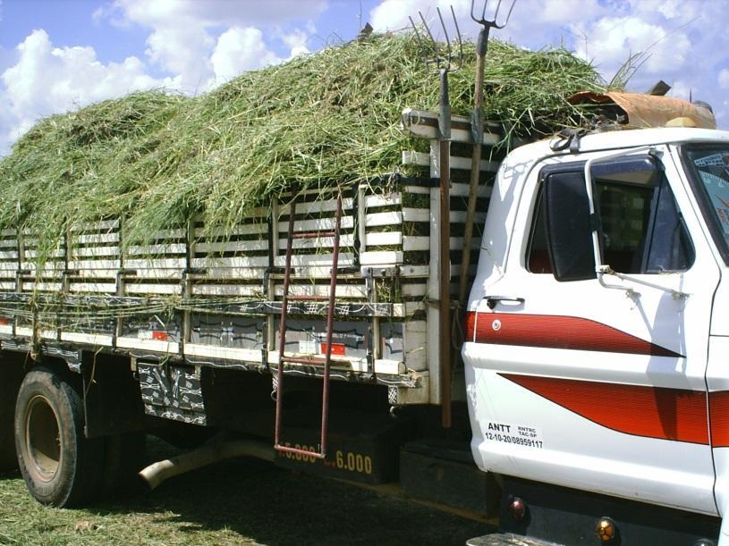 os serviços para o setor de limpeza