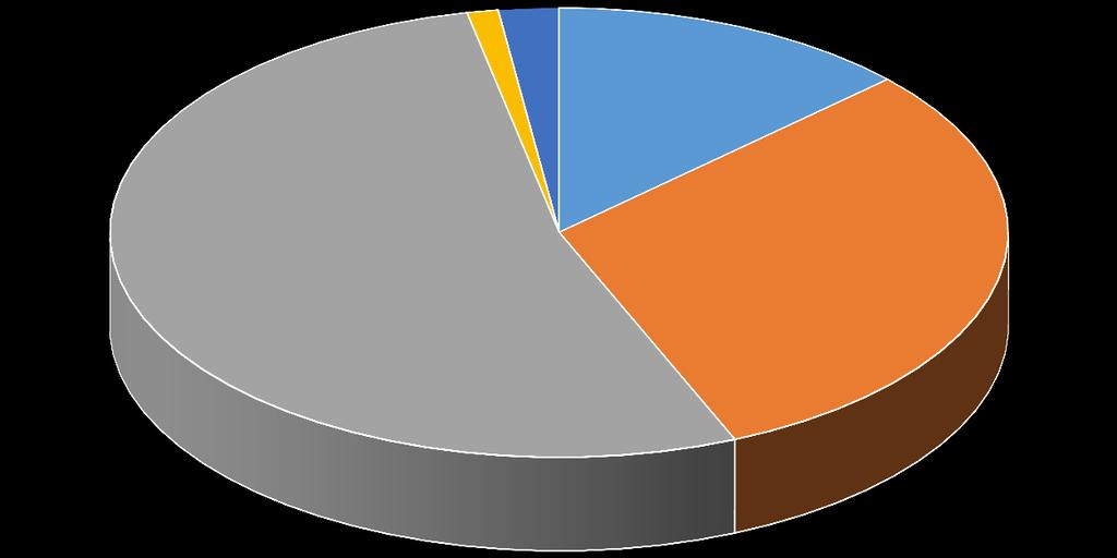 FINANCEIRO DESPESAS DESPESAS DESPESAS DÉBITO % 1% 2% 13% ACORDOS JUDICIAIS 12.834,06 13,07% PAGTO MEDICOS 30.000,00 30,55% FORNECEDORES 52.142,18 53,09% 53% SEGURANÇA NOTURNO 1.