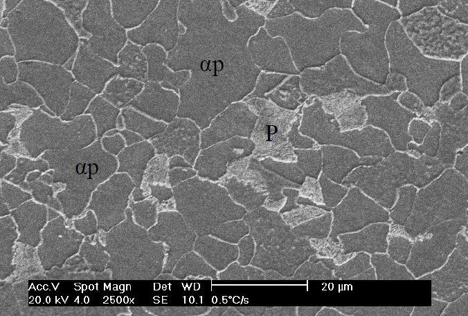 FIG. 2.5 Taxa de resfriamento de 0,5ºC/s.