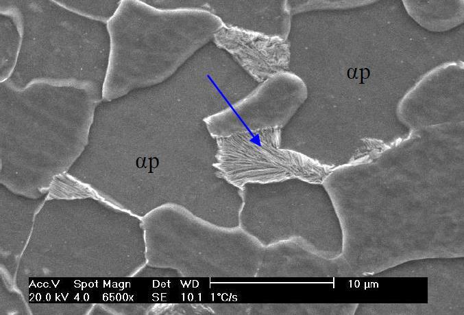 , 2008). FIG. 2.6 Taxa de resfriamento de 1ºC/s.