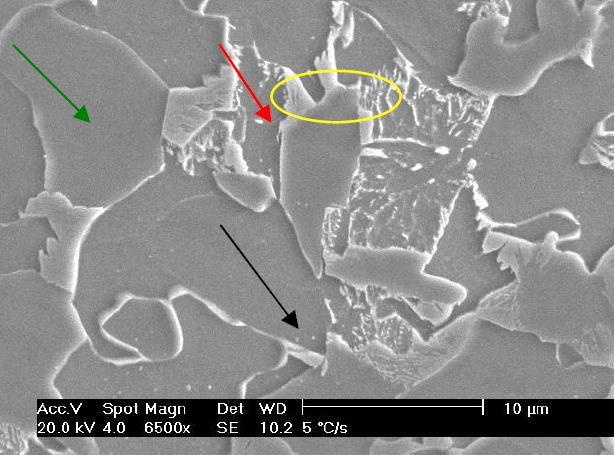 FIG. 2.7 Taxa de resfriamento de 5ºC/s. Possível perlita indicada pela elipse.