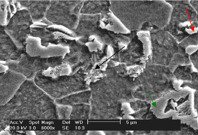 vermelha e verde. Aumento de 6500X (OGATA et al., 2008). FIG. 2.8 Taxa de resfriamento de 10ºC/s.