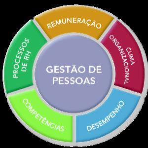 Fundamentos da Gestão de Pessoas Toda e qualquer organização depende, em maior ou menor grau, do desempenho humano