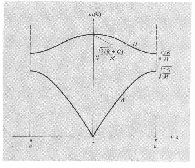 Modelo OHS 1D Relação de dispersão (quadro): ω 2 = β 1 + β 2 M ± 1 M β 1 2 + β 2 2 + 2β 1 β 2 cos ka Para um dado k há dois valores possíveis para ω: dois ramos