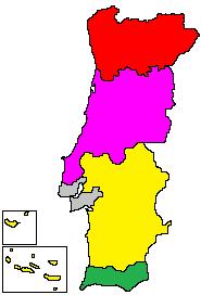 Nacionais - Tipo de Acompanhantes Individuais 24,3% Grupos de amigos 15,9% Grupo Organizado 0,8% Famílias 18,9% Com colegas 13,6% Casais 26,5% Nacionais - Tipo de acompanhantes, por motivação 25,1%