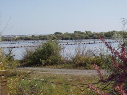 local de Valorização e Aproveitamento Ecoturístico