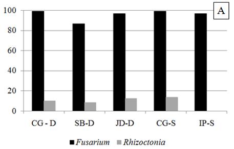 284 Poletto, I. et al. estudos posteriores.