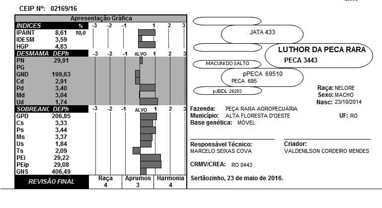 LOTE 38 PESO: 579 kg - CE: 37 cm LOTE