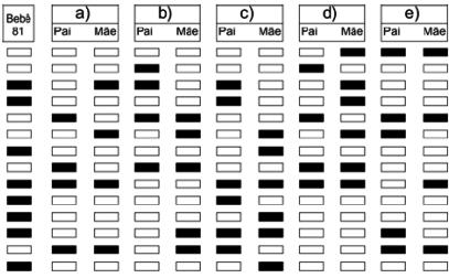 pessoas com o mesmo padrão de fragmentos com exceção dos gêmeos monozigóticos. Metade dos fragmentos de DNA de uma pessoa é herdada de sua mãe e metade, de seu pai.