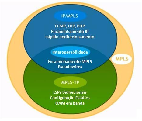 47 2.2.4.3. Encaminhamento O Plano de Encaminhamento do MPLS-TP utiliza o mesmo plano de encaminhamento do MPLS, porém com algumas restrições já citadas como o PHP e O ECMP.
