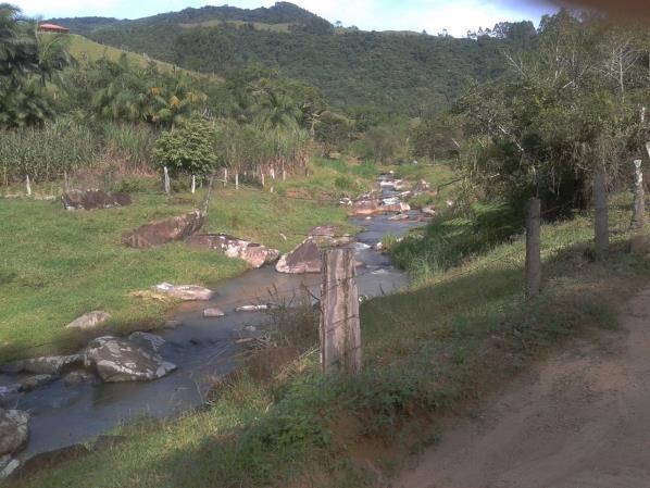 estrada e entrarão em área de pasto que dará acesso