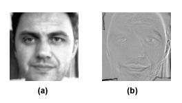 41 e uma nova imagem gerada (b) através de transformações das características originais, porém sua interpretação original foi alterada devido às transformações realizadas.