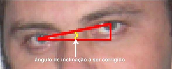 89 demasiadamente as imagens com a face muito inclinada não permite detectar o olho na região mais inclinada da face devido a esta ficar oclusa em relação à ROI.