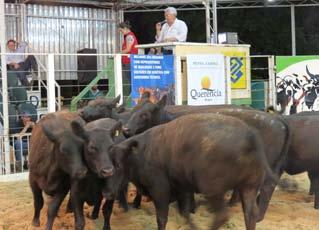 2º Remate Angus São Francisco fatura R$ 612,5 mil Impulsionado pelo aquecimento da demanda por fêmeas Angus, o 2ª Remate Angus São Francisco de Assis colocou 154 animais em pista, comercializados