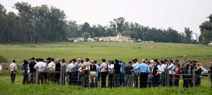 Bom momento As atividades começaram com palestras apresentadas por Fábio Medeiros e pelo gerente de fomento do Frigorífico Marfrig, Diego Brasil, sobre o programa de certificação da carne Angus.