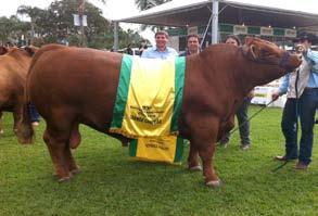 Fazenda MC, Espírito Santo do Pinhal/SP RES.