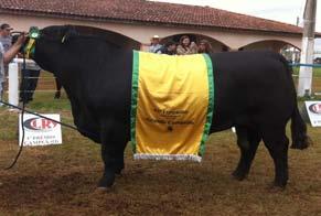 GRANDE campeã MC JANETE FLORA ZORZAL TE 1099 Expositor: Eloy Tuffi, Fazenda MC, Espírito Santo do Pinhal/SP TERCEIRA MELHOR