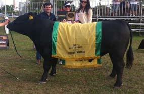 GRANDE campeã LC UFÁ U139 MAXI Expositor: Paulo de Castro Marques, Casa Branca Agropastoril, Fama/MG TERCEIRA