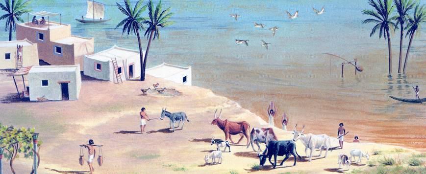 O NILO O ano dos Antigos Egípcios tinha 365 dias, repartidos por 3 estações: A Akhet era a estação das