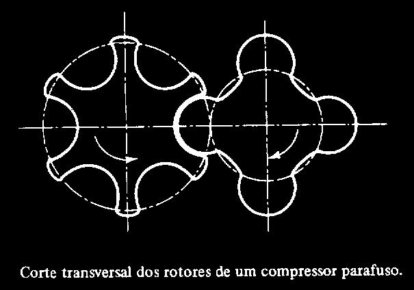 O rotor macho normalmente é o rotor de acionamento e consiste de uma série de ressaltos ao longo do comprimento do rotor que se engrenam com os sulcos helicoidais correspondentes, formado de modo