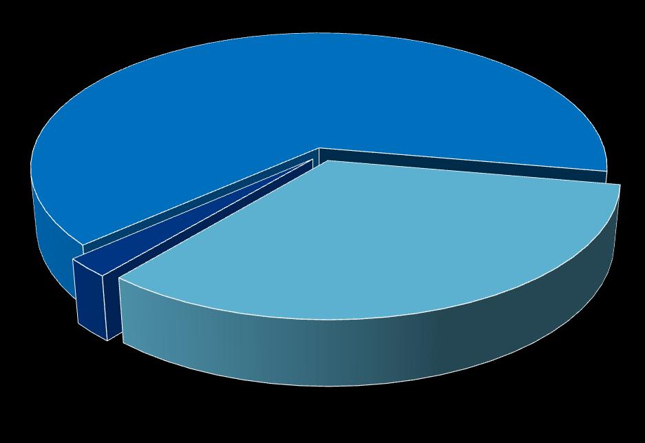 CAPITAL TOTAL ORDINÁRIAS