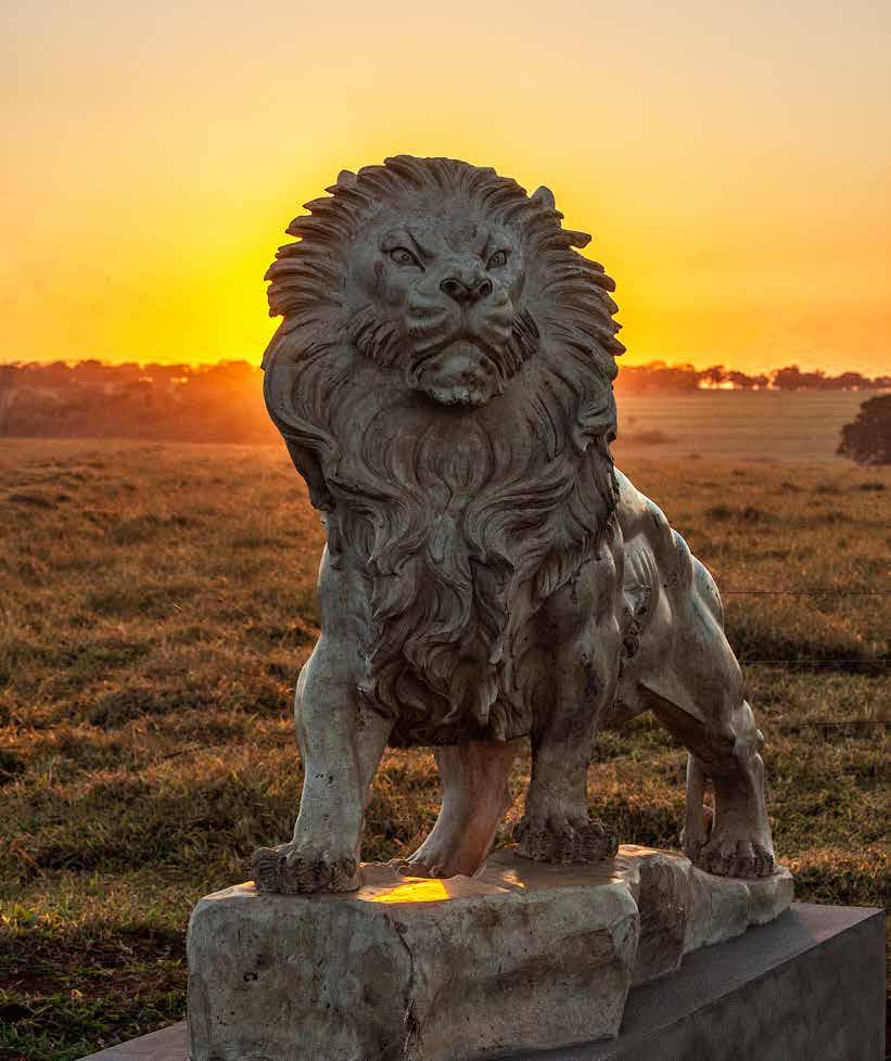 Condições de Pagamento: 24 parcelas, sendo 2 + 2 + 20 FAZENDA REUNIDAS UBERABA Como chegar: MAPA DA FAZENDA FAZENDA REUNIDAS UBERABA - Tel. (34) 99671-91110 - www.eao.com.br Rod.