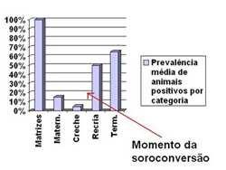 veterinário especialista em suínos.