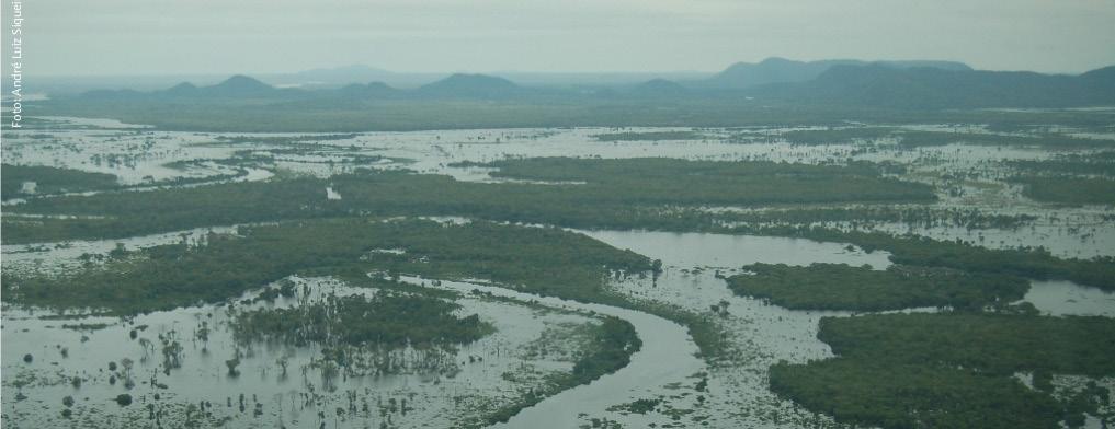 O Pantanal possui duas estações bem definidas, uma de chuva e outra de estiagem, que não necessariamente correspondem aos períodos de cheias e secas.