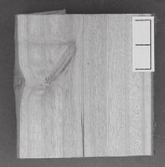 Qualidade da madeira em clone de Eucalytus grandis 565 Figura 5 Cortes longitudinais em seções do tronco para os tratamentos 1,0+1,0+1,0+3,0 (a,b) e 0,5+1,0+1,5+3,0 (c,d), aos 55 meses de idade, para