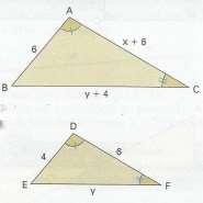 15- Calcule a medida da diagonal do retângulo
