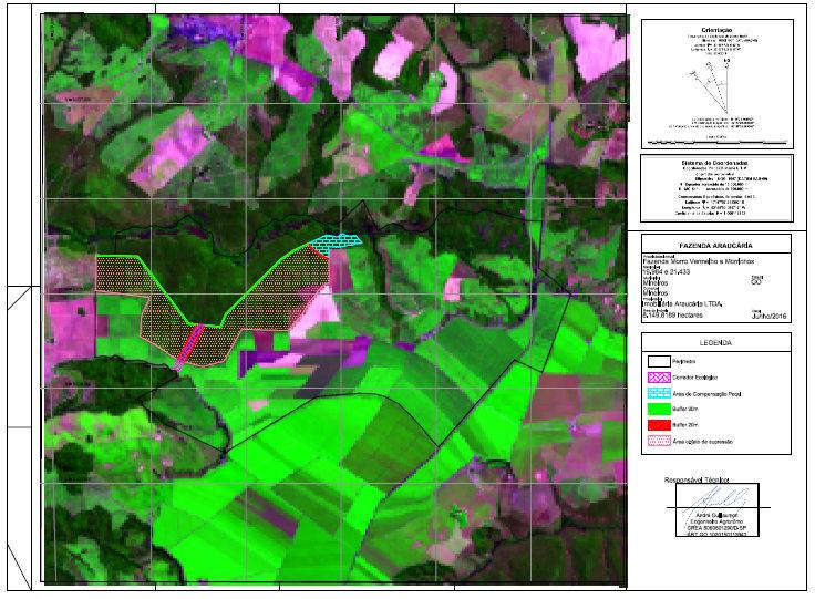 Na divisa com a área de reserva legal, foi mantido um buffer de 30 metros, enquanto nas áreas de corredor ecológico e de compensação ambiental, foram mantidos 20 metros de buffer, sendo que no