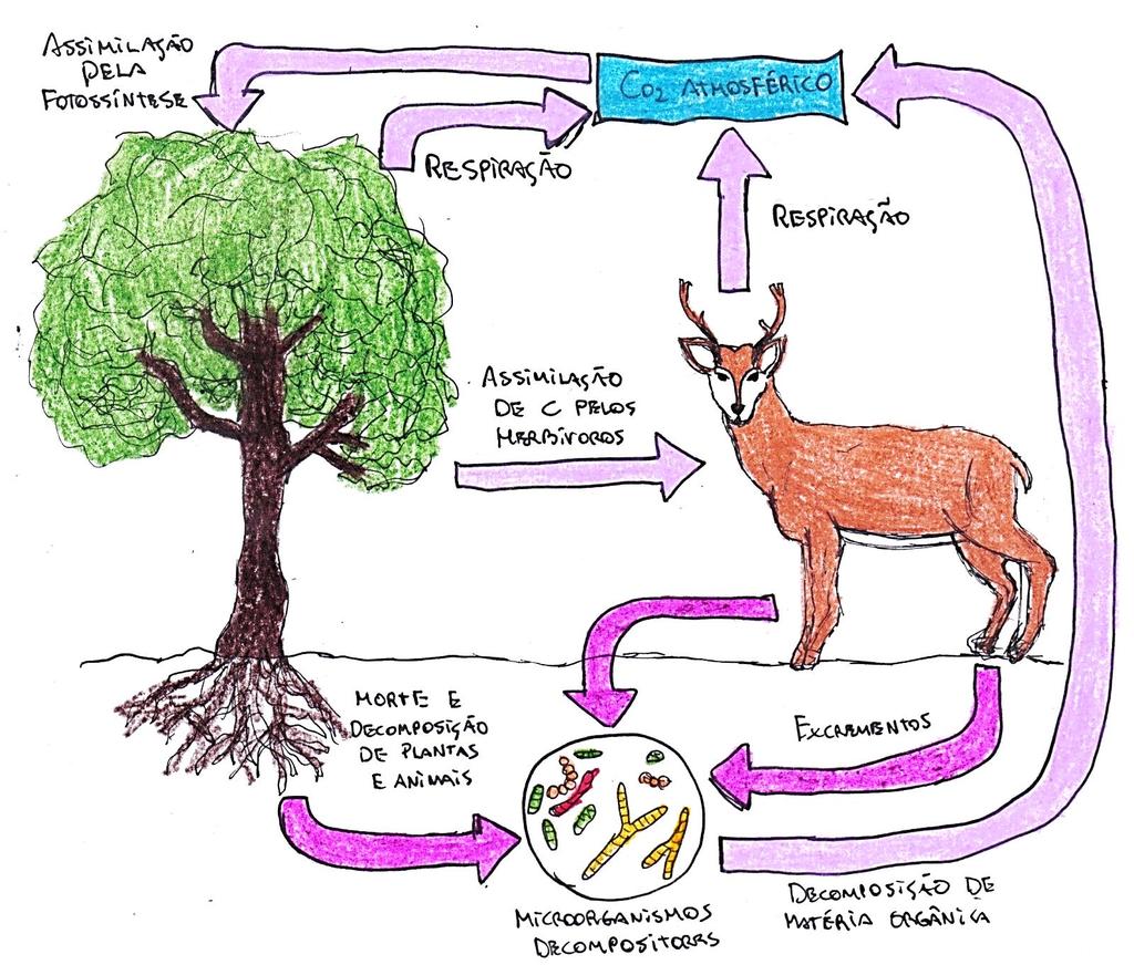 FIGURA 9: ESQUEMA