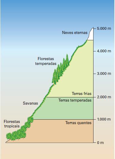 Savanas Estepes Xerófitas