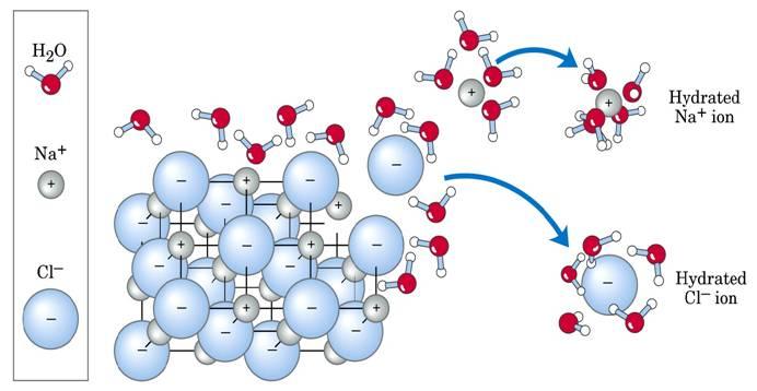Conceito de solubilidade Este conceito é aplicado a todas as biomoléculas carregadas, compostos com grupos funcionais tais como ácidos carboxilicos ionizados (-COO - ), aminas protonadas (-NH3 + ), e