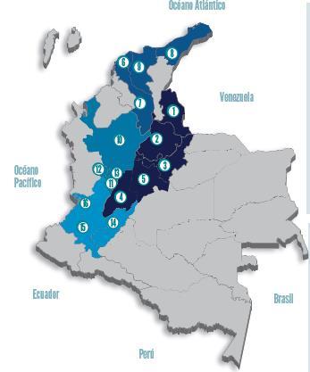 Fonte: Proexport Colômbia Ao analisar detalhadamente cada uma delas foi possível identificar que existe presença de atividades ligadas a bebida apenas em 02 regiões Andina e Pacífico, nas zonas