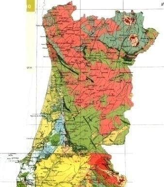 Acidez: moderada a elevada