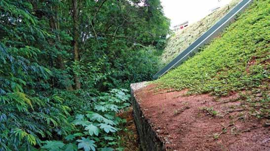 fixada com uma grade (gabião).