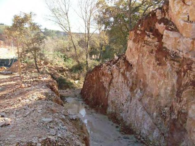 Junto das linhas de água torrenciais, em particular do leito seco do Rio Maior, que corresponde ao trecho a montante e adjacente da pedreira, os matos apresentam algumas