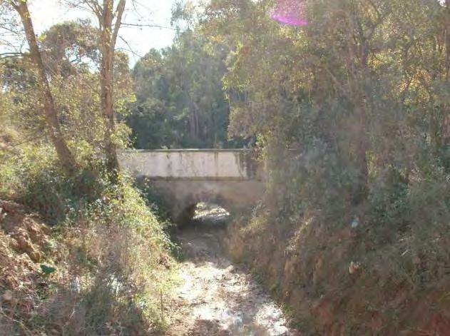 Como elementos ripícolas arbóreos apenas de refere o choupo negro (Populus nigra) e apenas a jusante da pedreira, onde o rio se desenvolve sobre formações mais impermeáveis e