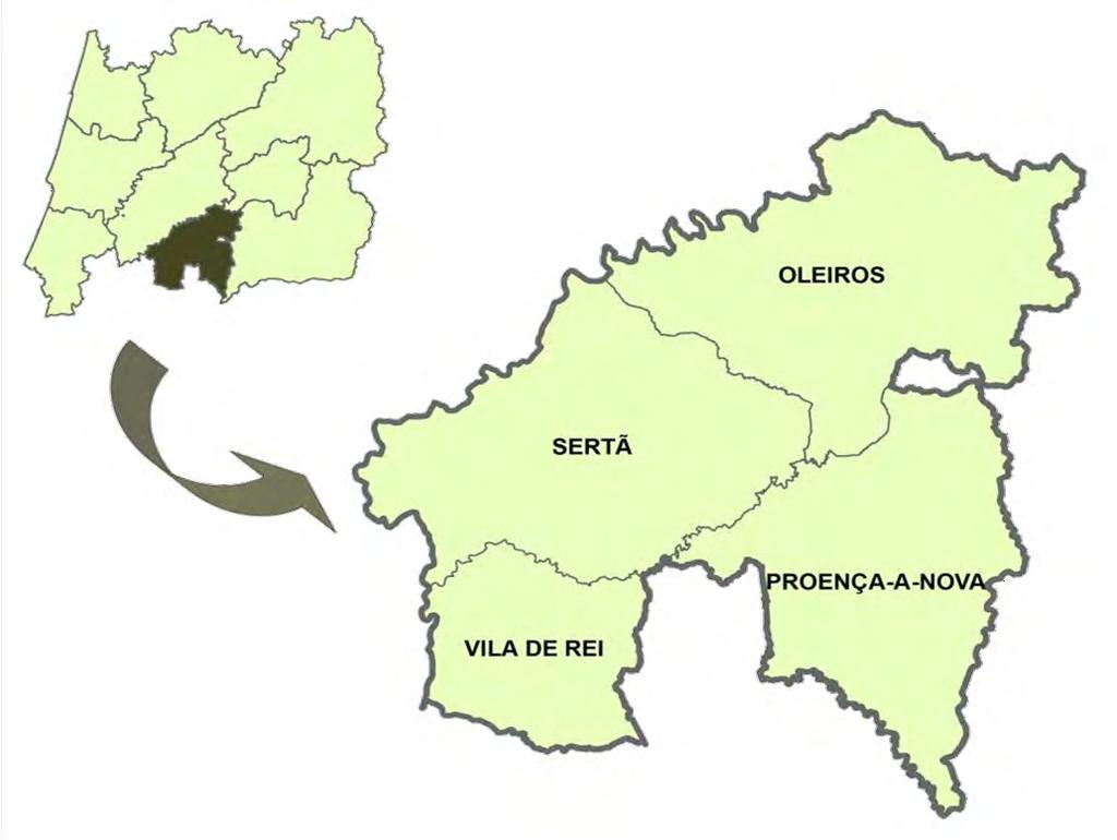 Continental, tendo como base a infra-estrutura tecnológica e o Modelo criados pela ARS Norte, I.P.