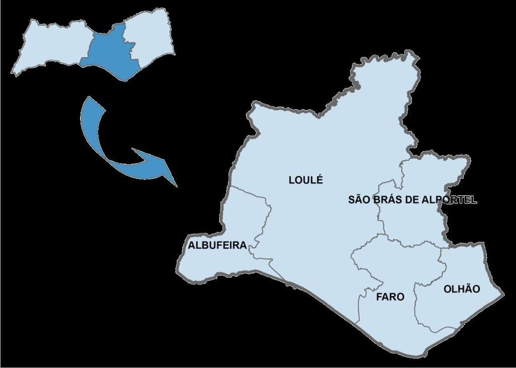 Os Perfis Locais de Saúde foram desenvolvidos no âmbito dos Observatórios Regionais de Saúde dos Departamentos de Saúde Pública das cinco Administrações Regionais de Saúde de Portugal Continental,