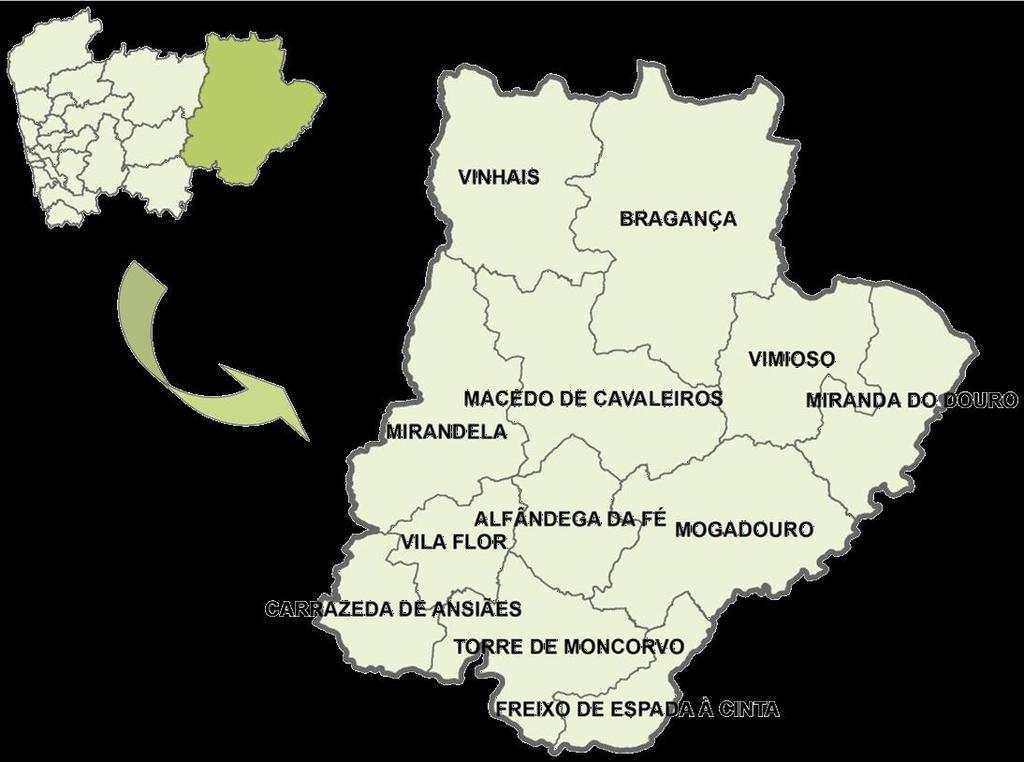 Continental, tendo como base a infra-estrutura tecnológica e o Modelo criados pela ARS Norte, I.P.