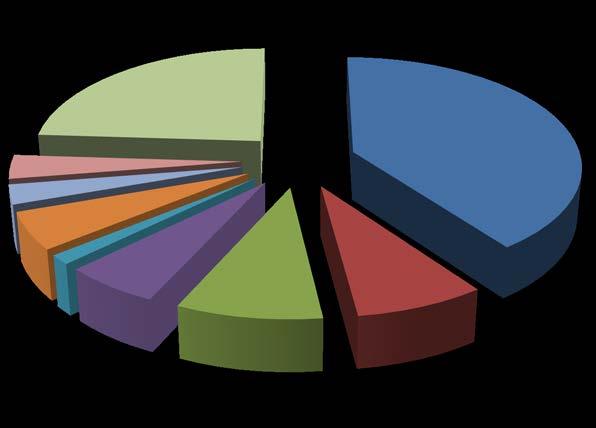 2011 2012 24,02% 40,02% 28,13% 15,14% 3,47% 4,07% 13,16% 2,85%