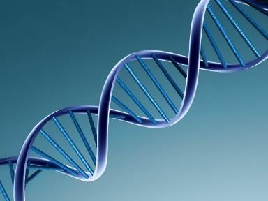Biology - DNA