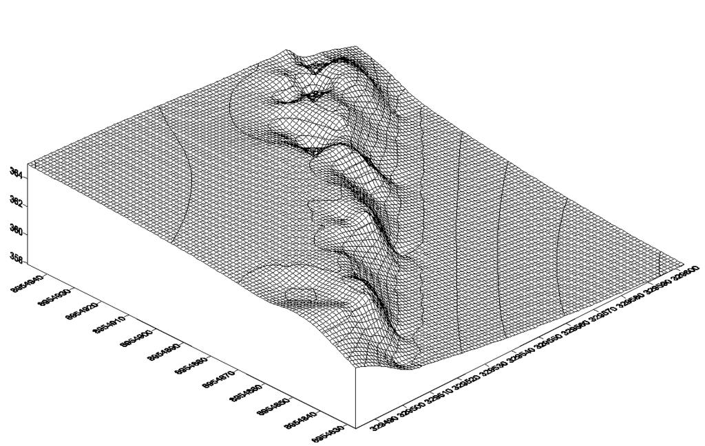Estrutura Superficial da Paisagem A parcela de estudo apresenta uma topografia plana limitada por declives acentuados em direção a margem da calha fluvial (Figura 03), indicando a presença de